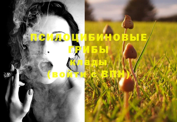 мдпв Вязьма