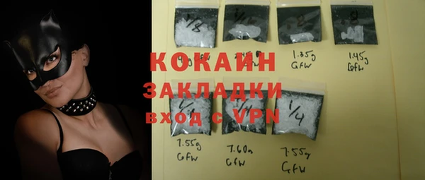 прущий лед Вяземский