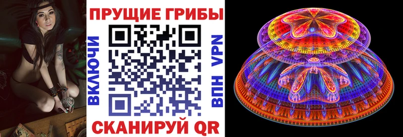 Галлюциногенные грибы Magic Shrooms Вилюйск